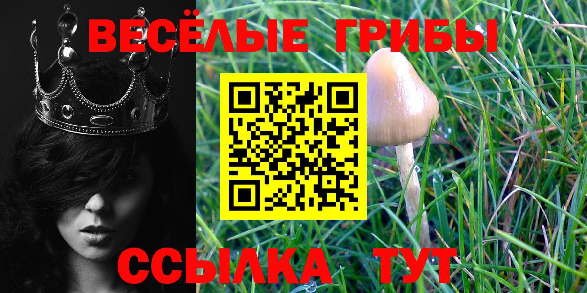 где найти наркотики  Вход с VPN  Пенза  Галлюциногенные грибы ЛСД 