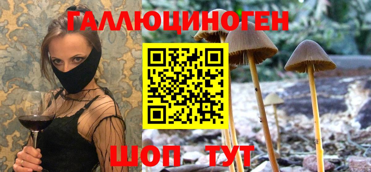 APVP Пенза