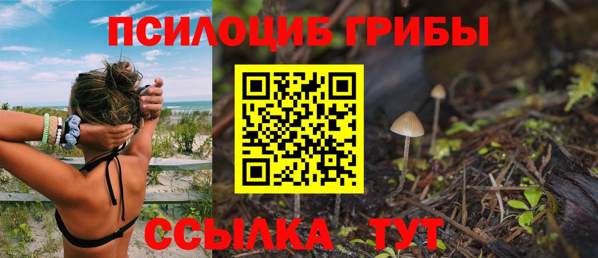 Пенза  Alpha-PVP СК   ГАШ  МЕТ  Вход с VPN  Мефедрон кристаллы  Бошки Шишки  Где купить 